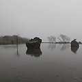 IMG_1919.JPG