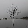 IMG_1931.JPG