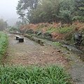 IMG_1962.JPG