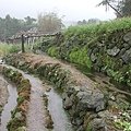IMG_1974.JPG