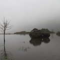 IMG_1939.JPG