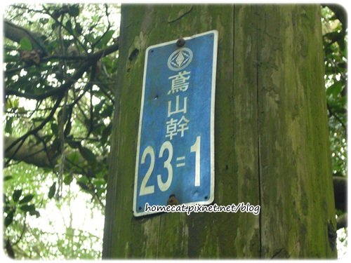 0716 C6.JPG