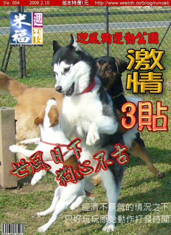 4991ae3abc325