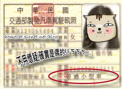 駕照3.jpg