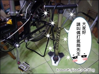 9808303.jpg
