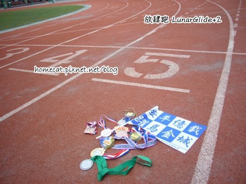 9910061.JPG