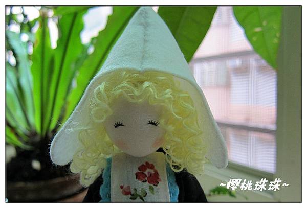 荷蘭娃6