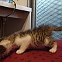 DSC07067.JPG