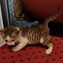 DSC07068.JPG