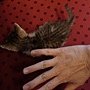 DSC07074.JPG