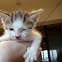 DSC07077.JPG
