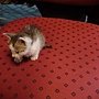 DSC07073.JPG