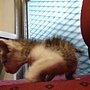 DSC07066.JPG