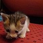 DSC07071.JPG