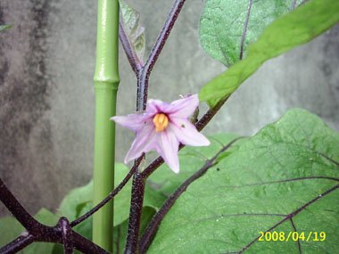 PIC_0002.JPG