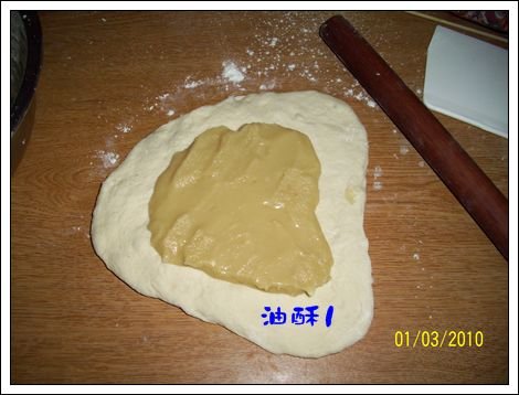 100_2871.jpg