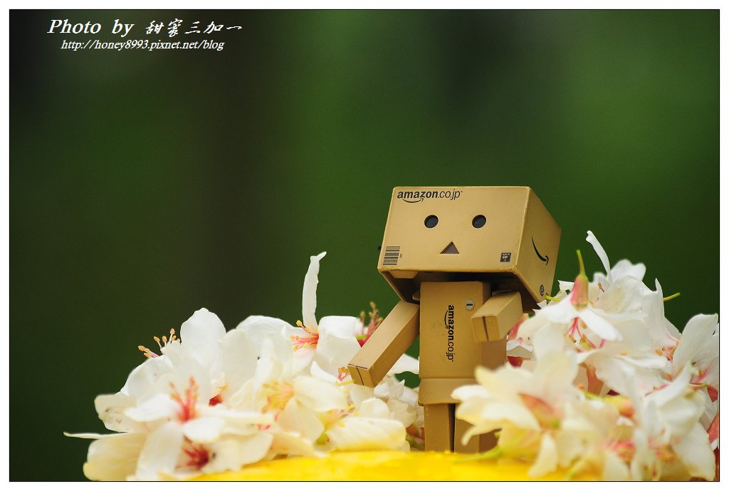 nEO_IMG_DSC_4689.jpg