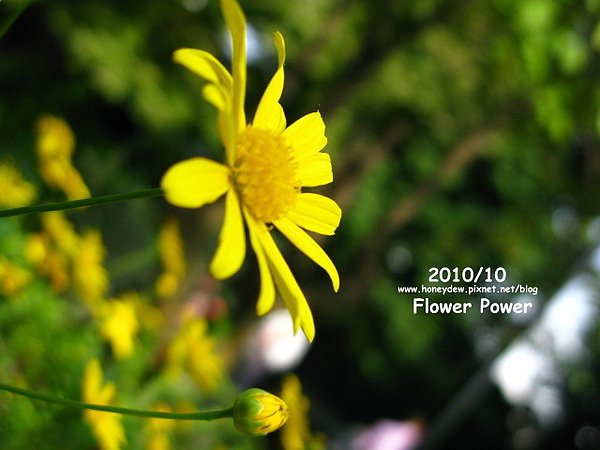IMG_0007.JPG