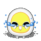 哭.gif
