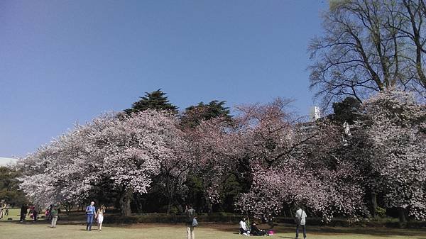 IMAG0307
