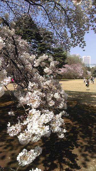IMAG0310