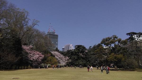 IMAG0302