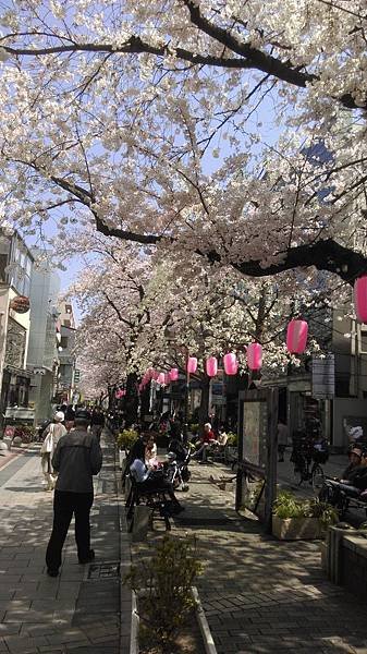IMAG0348