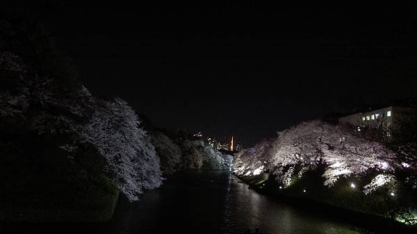 IMAG0400