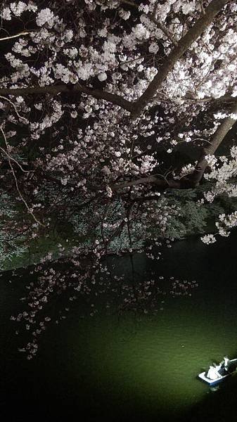 IMAG0414