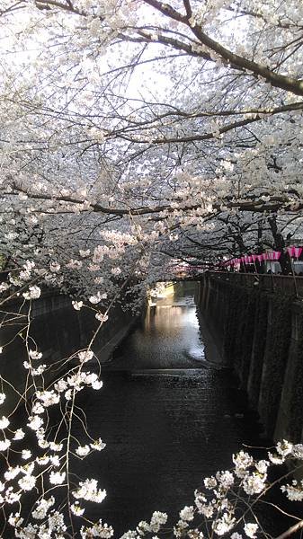 IMAG0375