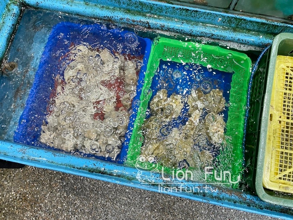 北海岸海鮮餐廳｜野柳望海亭海鮮餐廳。野柳海洋世界美食｜海鮮料