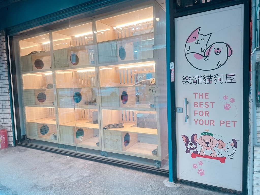 板橋寵物店推薦｜樂寵貓狗屋。專業品種幼犬貓展售｜販售｜已確實