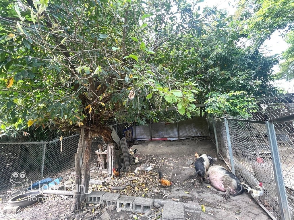 南投義大利冰品｜貝拉義大利冰淇淋店。隱藏在文心園內冰淇淋店咖