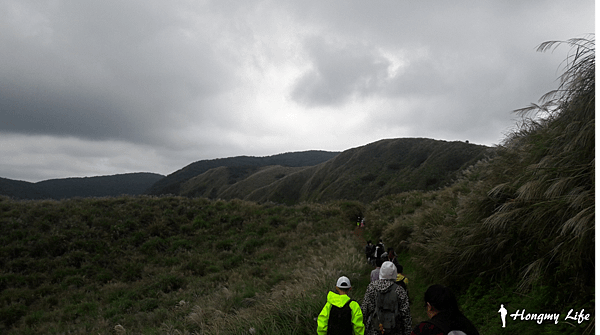 步道下坡-擎天崗-魚路古道遊走去.png