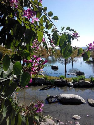 松湖譯站【花蓮旅遊】花蓮新景點，松湖譯站!花連兩天一夜、三天兩夜平價住宿推薦選擇