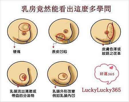 乳房學問