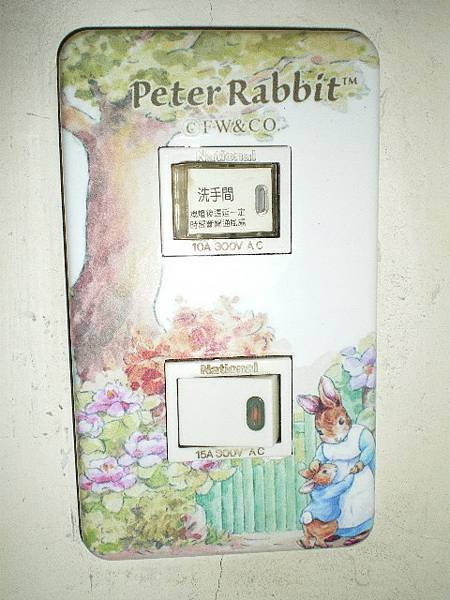 peter rabbit (6).jpg