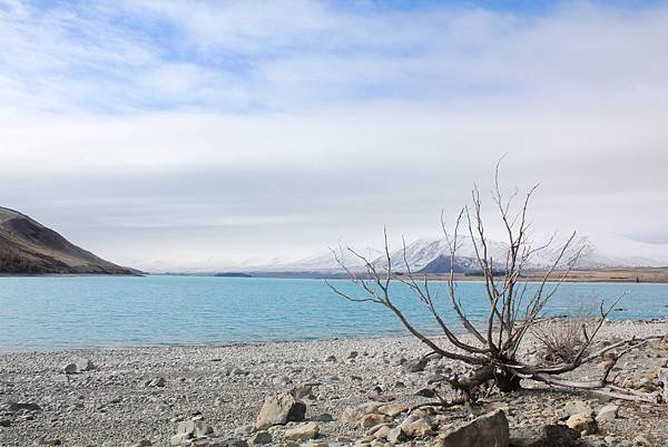 Lake Tekapo