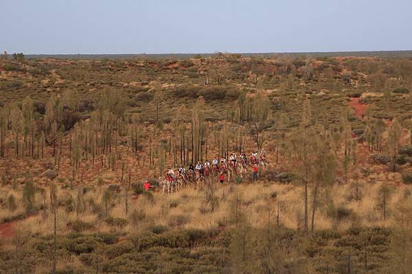 Uluru Camel Tour 037