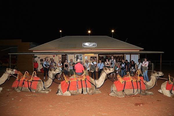 Uluru Camel Tour 001