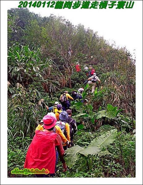 龍崗步道走槓子寮山10.JPG