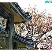 東方寺吉野櫻與紫藤01.JPG