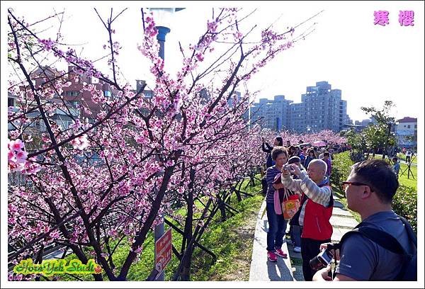 東湖樂活公園10.jpg