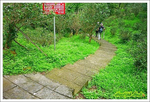 20160612天上山走善息寺22.jpg