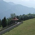 DSCF5954