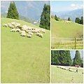 NA201203192214140042-53-000000
