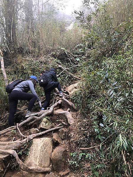 苗栗加里山