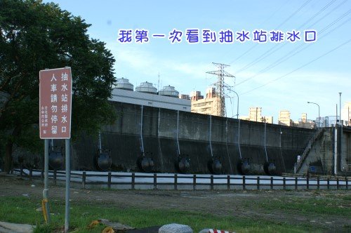 DSC08182.jpg