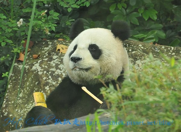 bear06.jpg