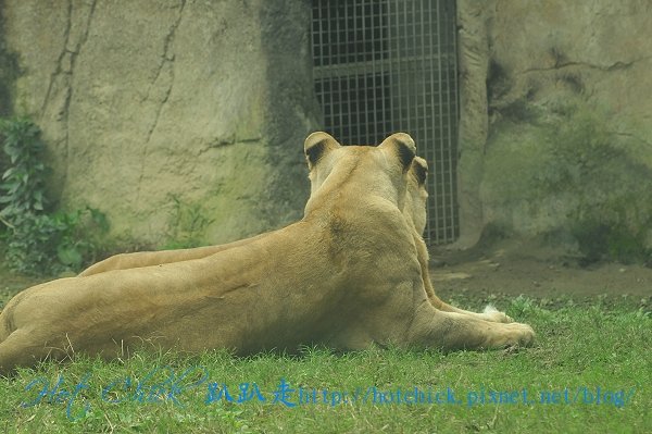 zoo08.jpg